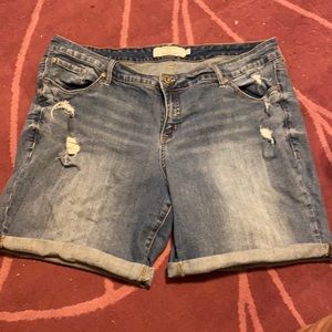 Torrid denim shorts